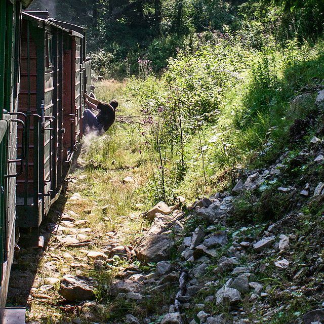 2011/07 - Wassertalbahn Maramures