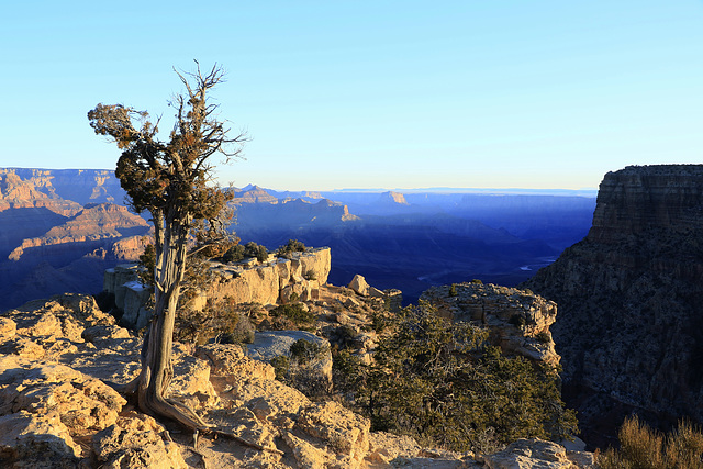 Grand Canyon Sunrise