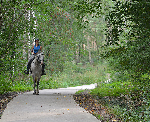 a Horse and a Girl