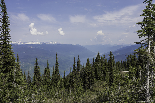 Mount-Revelstoke-Nationalpark (© Buelipix)