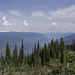 Mount-Revelstoke-Nationalpark (© Buelipix)