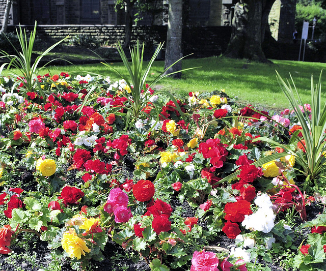 Floral display.