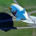 Landing the other Zeppelin