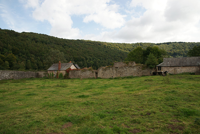 Cottage At Tintern Abbey