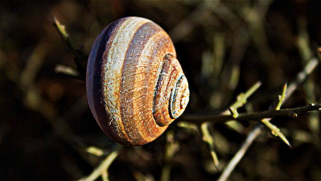 Naturellement votre.