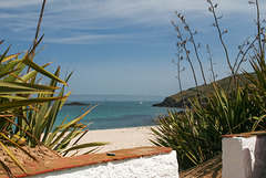 Shell Beach