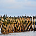 Perfect perch for cormorants and gulls!