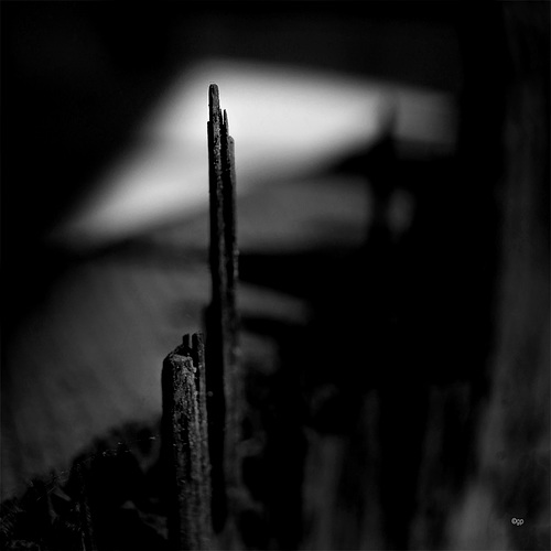 Spiky (MM2.0)