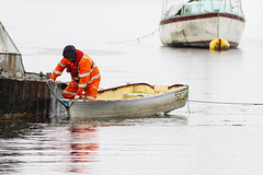 Boatman