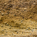 Benacre Cliffs cross-bedded gravels 1