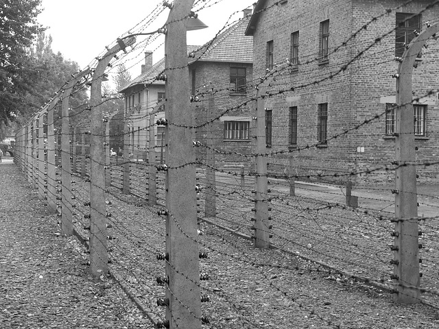 Auschwitz (4) - 19 September 2015