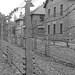 Auschwitz (4) - 19 September 2015