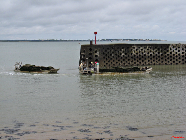 rentrons vite avant la marée basse