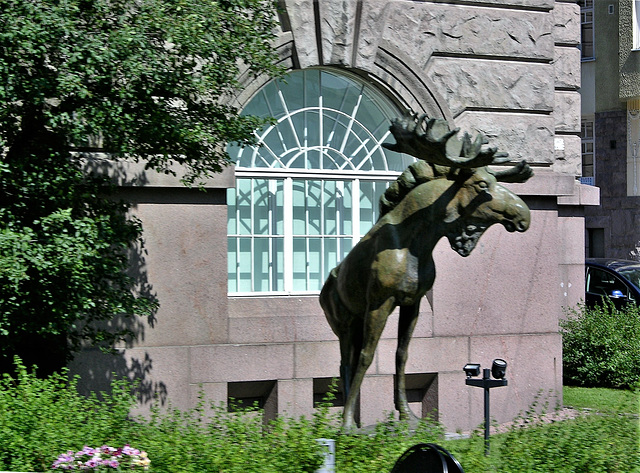 Naturkundemuseum Helsinki