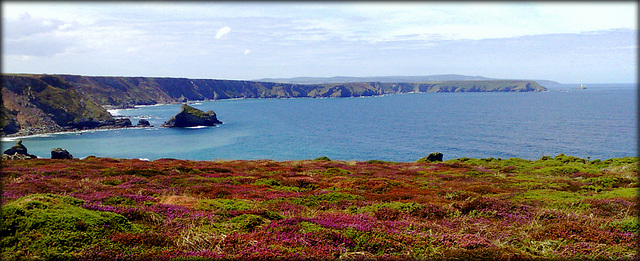 Carvannel Downs, above Porthcadjack Cove.