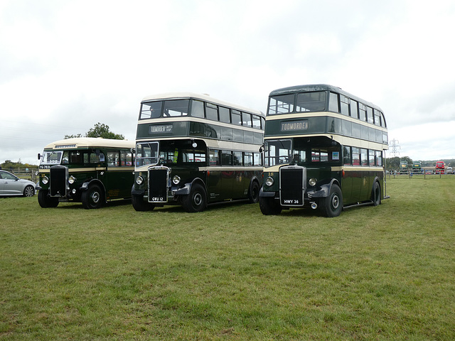 Preserved Todmorden JOC buses at Showbus - 29 Sep 2019 (P1040681)