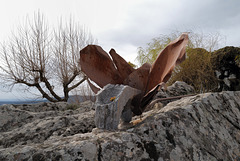 Marvão, Flor de Santiago