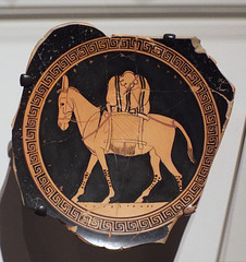 Fragment of a Kylix with a Donkey by the Antiphon Painter in the Boston Museum of Fine Arts, January 2018