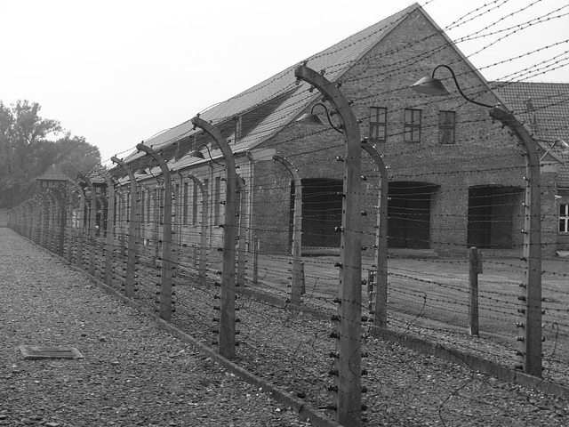 Auschwitz (5) - 19 September 2015