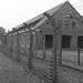 Auschwitz (5) - 19 September 2015