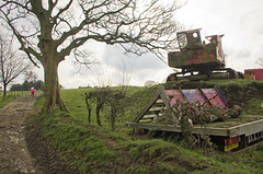 Runner in the Lyme Park Estate