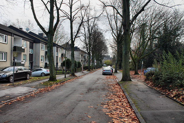 Schenkendorfstraße (Dortmund-Eving) / 27.11.2016