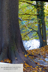 Pinkelbaum, Frankfurter Stadtwald