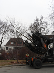 Großbaumverpflanzer Unimog ZW 2000