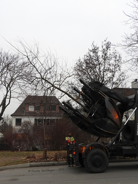 Großbaumverpflanzer Unimog ZW 2000