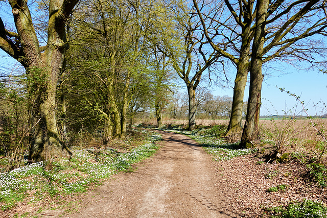 -feldweg-02644-co-09-04-17