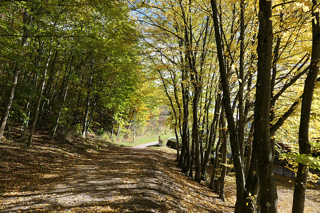 Spaziergang im Herbst