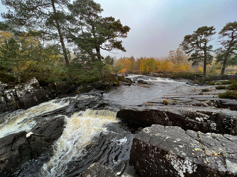 The River Affric