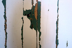 IMG 2214-001-Peeling Paint