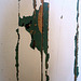 IMG 2214-001-Peeling Paint