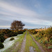 Stiperstones Walk