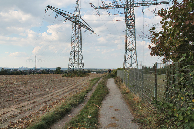 Feldweg unter Strom (Essen-Byfang) / 25.09.2016