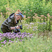 Photographer in the Oudolf Field