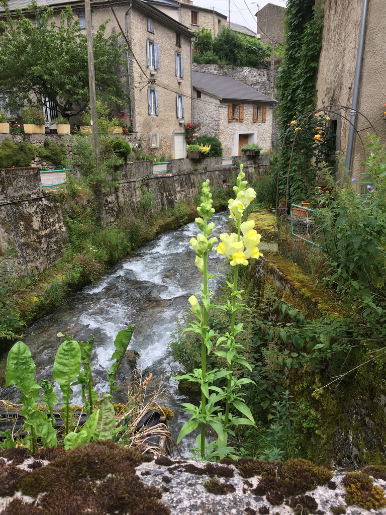 La rivière a repris son cours normal .