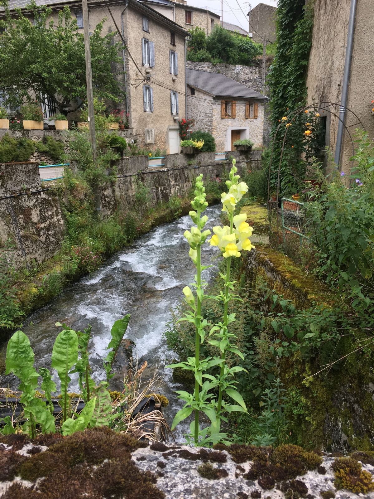 La rivière a repris son cours normal .