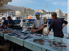 Marseilles: fish market