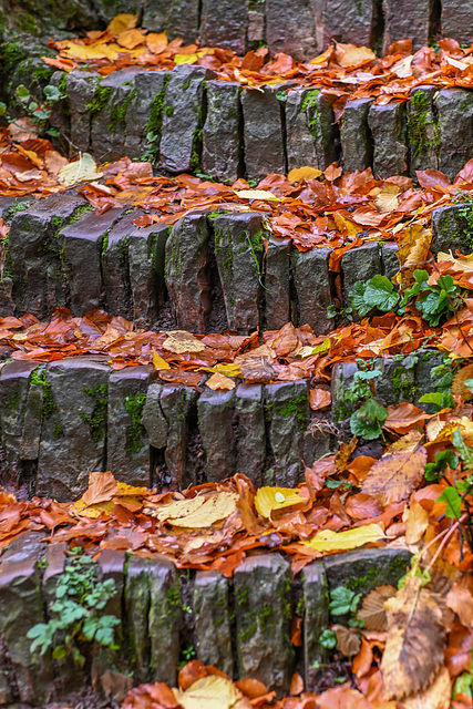 Herbsttreppe