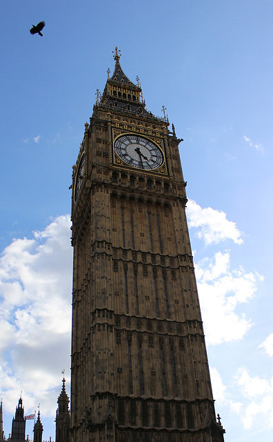 big ben bird