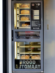 Borgloon - Brood