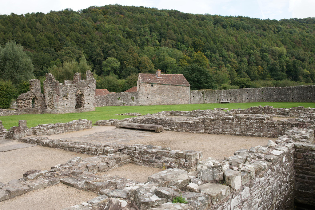 Tintern Abbey