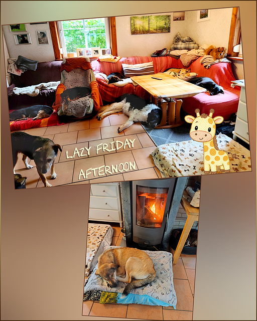 Relaxen on a rainy afternoon