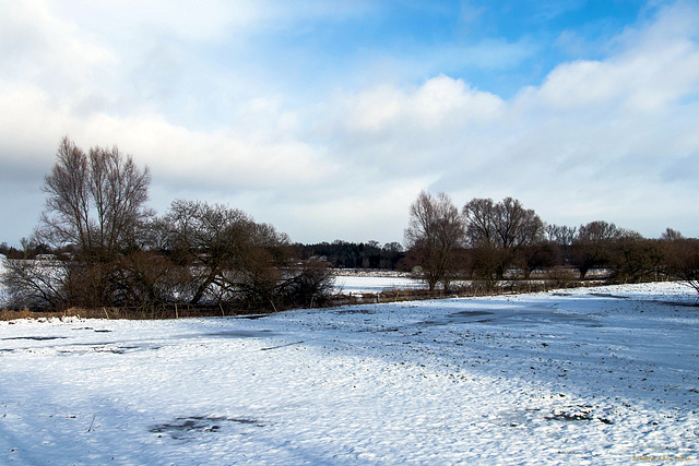 Norddeutscher Winter III