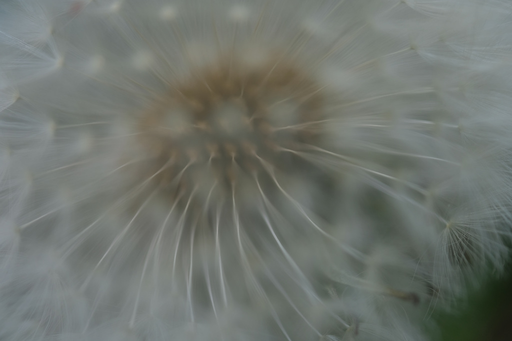 DSCF7326