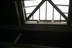 IMG 2223-001-Workshop Extension Skylight