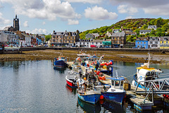 Tarbert, Lock Fyne!