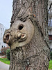 Panda-Baum